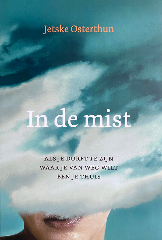 In de Mist